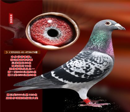 c(din)],B(yng)-F(tun)w܊