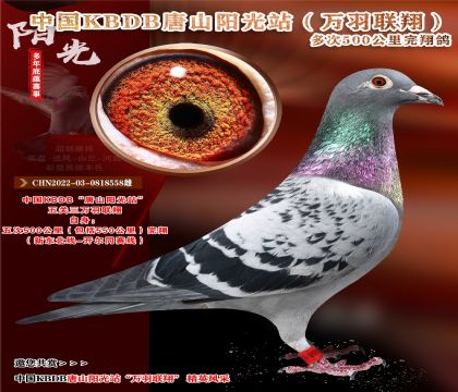 Ї(gu)ɽ(yng)KBDBf(wn)裡