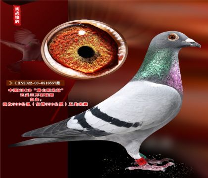 Ї(gu)ɽ(yng)KBDBf(wn)