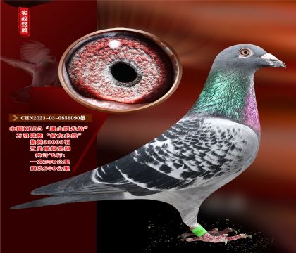 Ї(gu)ɽ(yng)KBDBf(wn)