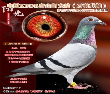 Ї(gu)ɽ(yng)KBDBf(wn)