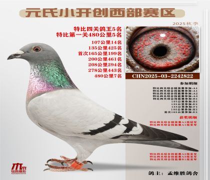 С_(ki)(chung)^(q)رP(gun)5