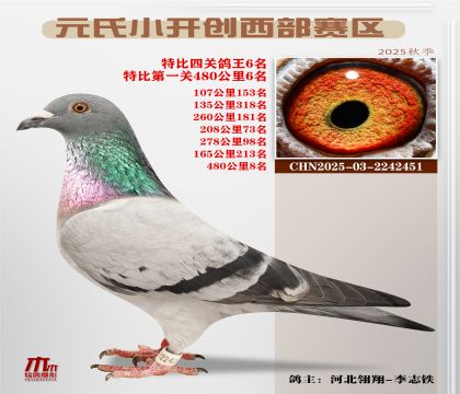 С_(ki)(chung)^(q)رP(gun)6