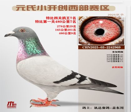 С_(ki)(chung)^(q)رP(gun)7