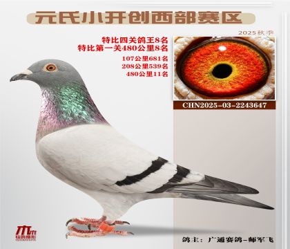 С_(ki)(chung)^(q)رP(gun)8