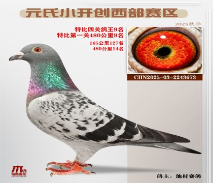 С_(ki)(chung)^(q)رP(gun)9