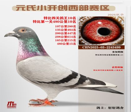 С_(ki)(chung)^(q)رP(gun)10