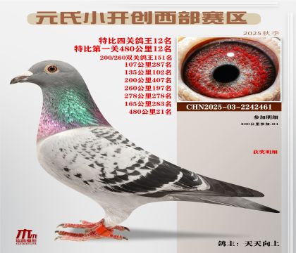 С_(ki)(chung)^(q)رP(gun)12