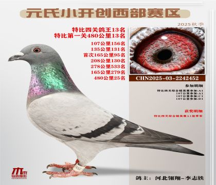 С_(ki)(chung)^(q)رP(gun)13