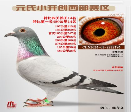 С_(ki)(chung)^(q)رP(gun)14