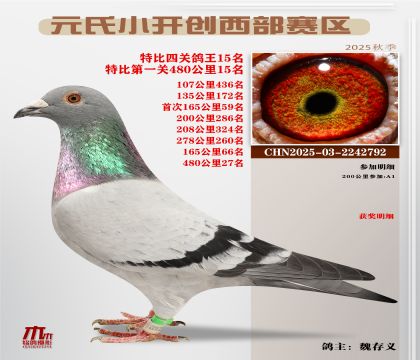 С_(ki)(chung)^(q)رP(gun)15