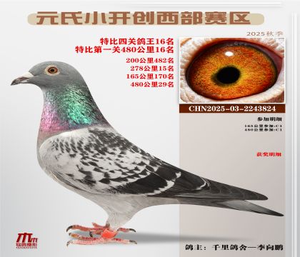 С_(ki)(chung)^(q)رP(gun)16