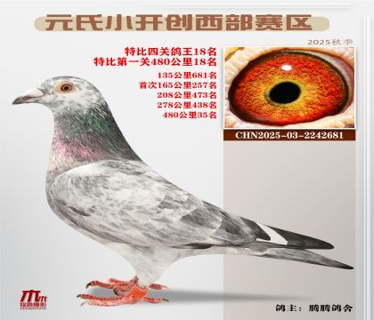 С_(ki)(chung)^(q)رP(gun)18