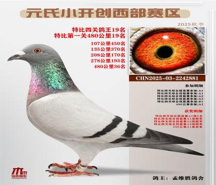 С_(ki)(chung)^(q)رP(gun)19