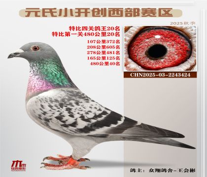 С_(ki)(chung)^(q)رP(gun)20