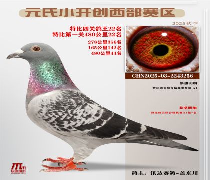 С_(ki)(chung)^(q)رP(gun)22