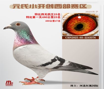 С_(ki)(chung)^(q)رP(gun)23