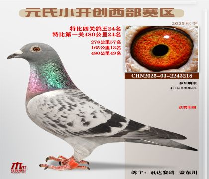 С_(ki)(chung)^(q)رP(gun)24