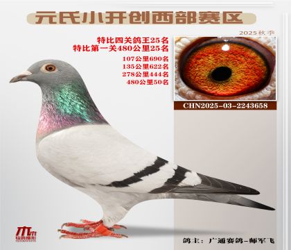 С_(ki)(chung)^(q)رP(gun)25