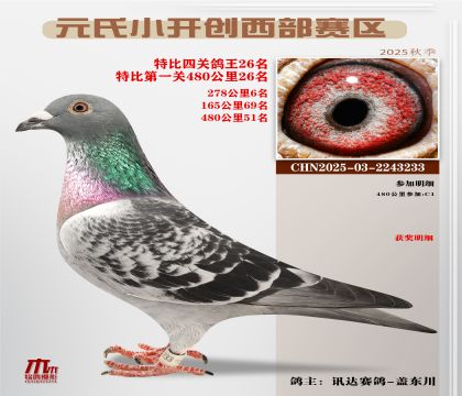 С_(ki)(chung)^(q)رP(gun)26