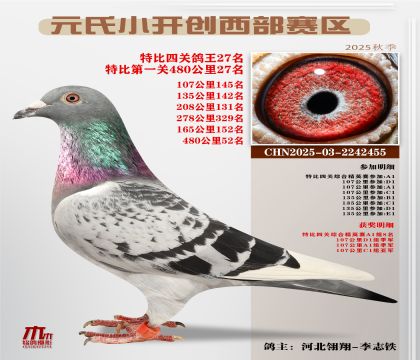 С_(ki)(chung)^(q)رP(gun)27