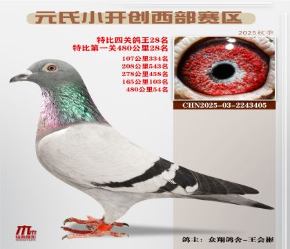 С_(ki)(chung)^(q)رP(gun)28