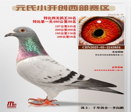 С_(ki)(chung)^(q)رP(gun)30