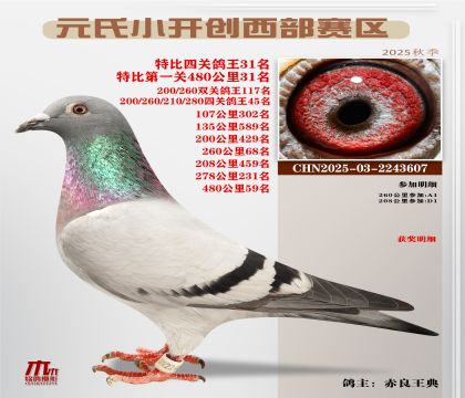 С_(ki)(chung)^(q)رP(gun)31