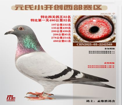 С_(ki)(chung)^(q)رP(gun)32