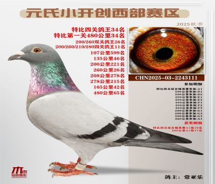 С_(ki)(chung)^(q)رP(gun)34