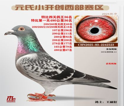 С_(ki)(chung)^(q)رP(gun)36