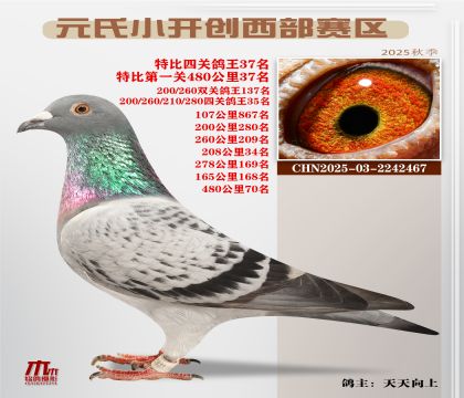 С_(ki)(chung)^(q)رP(gun)37