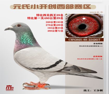 С_(ki)(chung)^(q)رP(gun)39