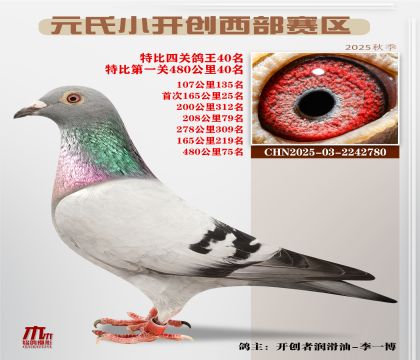 С_(ki)(chung)^(q)رP(gun)40