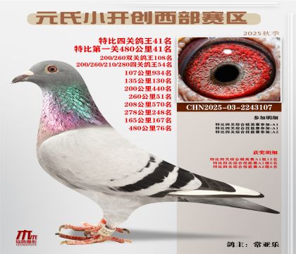 С_(ki)(chung)^(q)رP(gun)41