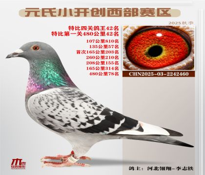 С_(ki)(chung)^(q)رP(gun)42