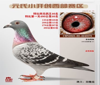 С_(ki)(chung)^(q)رP(gun)46