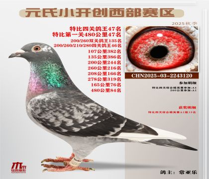 С_(ki)(chung)^(q)رP(gun)47