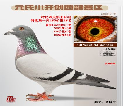 С_(ki)(chung)^(q)رP(gun)48