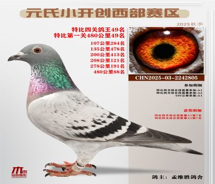 С_(ki)(chung)^(q)رP(gun)49