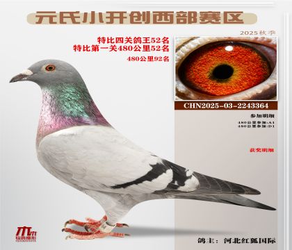 С_(ki)(chung)^(q)رP(gun)52