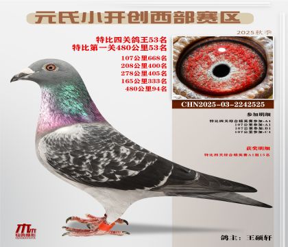 С_(ki)(chung)^(q)رP(gun)53