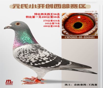 С_(ki)(chung)^(q)رP(gun)56