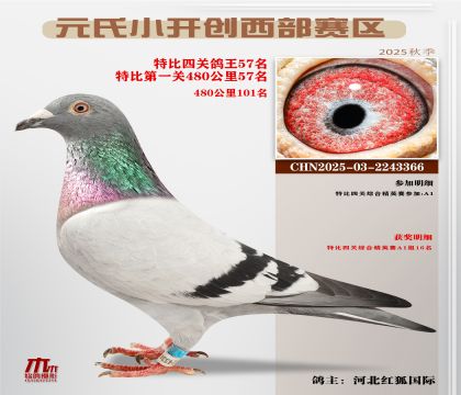 С_(ki)(chung)^(q)رP(gun)57