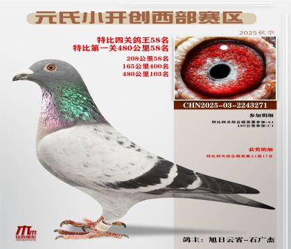 С_(ki)(chung)^(q)رP(gun)58