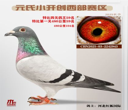 С_(ki)(chung)^(q)رP(gun)59