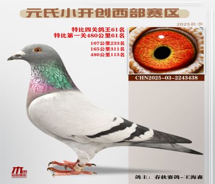 С_(ki)(chung)^(q)رP(gun)61