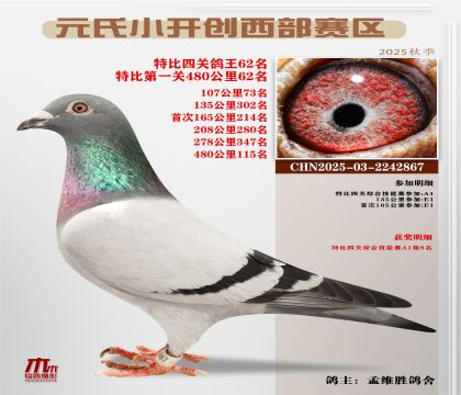 С_(ki)(chung)^(q)رP(gun)62