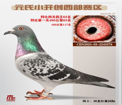 С_(ki)(chung)^(q)رP(gun)63