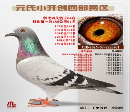 С_(ki)(chung)^(q)رP(gun)64